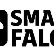 SMART FALCO cámaras de seguridad, alarmas, puertas, motores de garaje, videoportero y más *en La Habana* 63240912 - Img 57465025