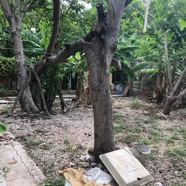 En venta biplanta en bajos con 4 cuartos y garaje en Casino Deportivo !!! - 6/6