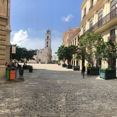 Vive La Ciudad Desde lo más autóctono. - Img 115523150