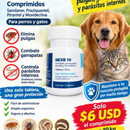 Nexb 10 - Img 58120491