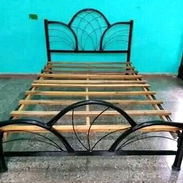 CAMA - Img 56454491