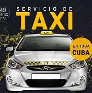 TAXI - Img 45496819