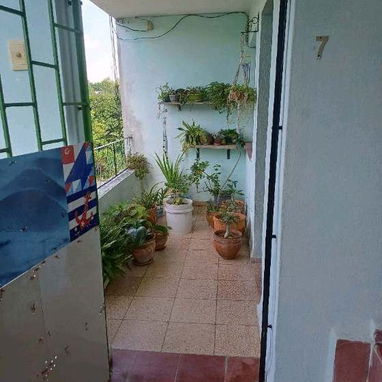 Permuto apartamento en altos por apartamento en bajos - 3/6