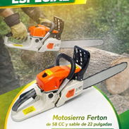Motosierra - Img 55771807