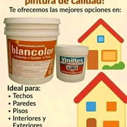 Buenas ofertas para embellecer sus casa pintura de vinil - Img 54879697