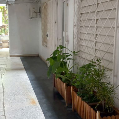 Rento apt supercéntrico de 2/4 en planta baja a 2 cuadras de 23 y Rampa.Vedado. - Img 103703533