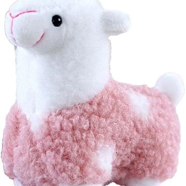 Peluches para Mascotas - 6/10