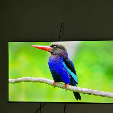 Vendo Smart TV 55” +cajita HD + base de pared - 4/7