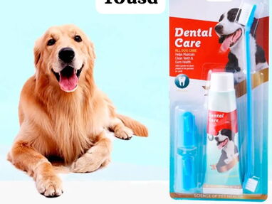 Higiene bucal para perros. Pastas/Cepillos/Toallitas Húmedas dentales - Img 62164117