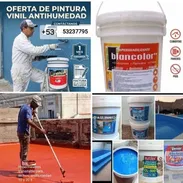 Pinturas para casas y gas licuado - Img 55933090
