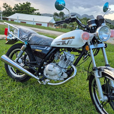 Suzuki/Unidad GS* _125_ - 2/5