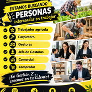 EN GESTION Z OFRECEMOS TODO TIPO DE EMPLEOS !! - Img 57368899