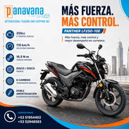 Moto de Combustión Panther LF250-10E - Img 56016746
