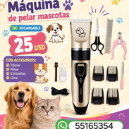 Maquina de pelar mascosta y accesorios - Img 57664250