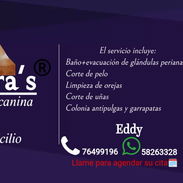 Estética Canina Kiara's(DOMICILIO) - Img 57554774