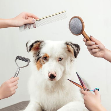 Estilista canina a domicilio contacte para detalles - 2/3