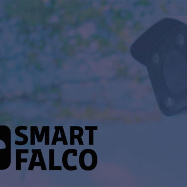 SMART FALCO cámaras de seguridad, alarmas, puertas, motores de garaje, videoportero y más *en La Habana* 63240912 - Img 91944463