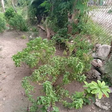 VENTA O PERMUTA - 7/9