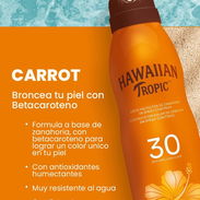 Protectores Solares de Spray - Img 55353293