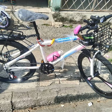 BICICLETA #26 - 2/2