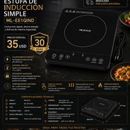 ESTUFA DE INDUCCIÓN SIMPLE MILEXUS Nuevas en caja - Img 55950210