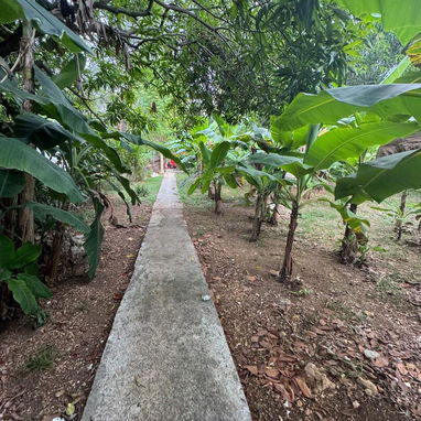 💯💯VENDE TERRENO DE BUEN METRAJE ,REPARTO RESIDENCIAL SIBONEY 💯💯 - 2/7