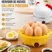 Hervidor de huevos gallinita - Img 55942250