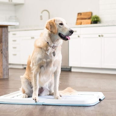 Soporte Para Mascotas - Img 119786611