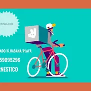 Servicio de mensajería - Img 55410477