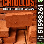 Ladrillos criollos - Img 58264913