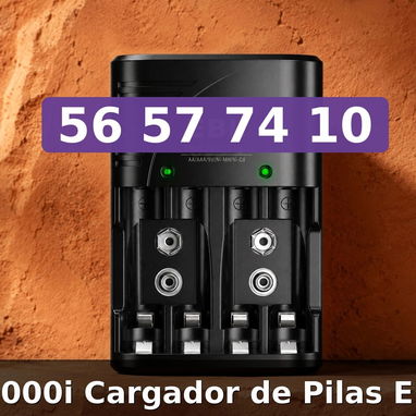 Cargador Pilas EBL - 2/3