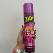 Insecticida para insectos rastreros, 300 ml, elimina CHINCHES y PULGAS - Img 58192718