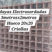 Mayas Electrosordadas - Img 55881919