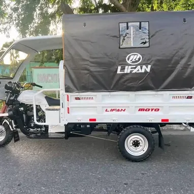 Triciclo de combustión Lifan 300 cc de carga y paseo - 3/5