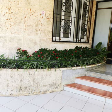 Servicio de jardinería 🧑🌾 - Img 119715836