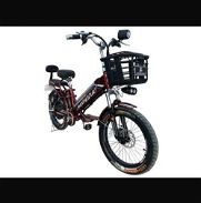 Bicicleta eléctrica Mishozuki - Img 46074534