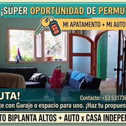 Biplanta Altos + Auto - Img 55610885