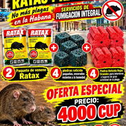 Combos para ratones y ratas - Img 58252604