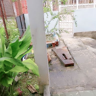 VENTA DE CASA EN EL COTORRO. DOS EN UNA. - Img 123527251