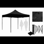 Carpas - Img 56972532