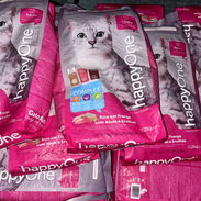 Pienso para gato - Img 58308388