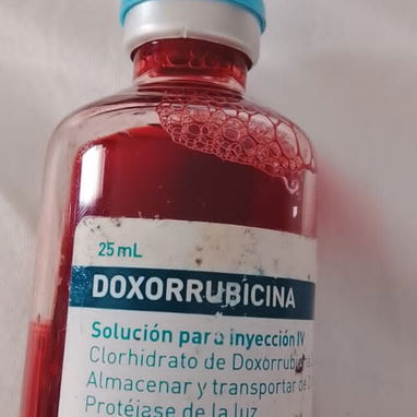 pregunte - 7/10
