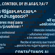 Servicio de fumigación - Img 49633895