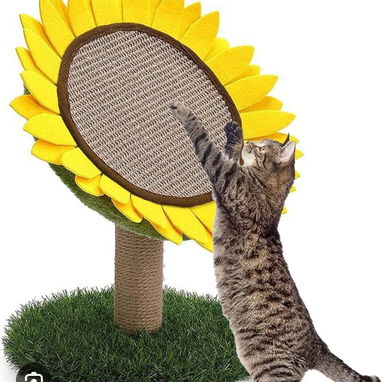 Rascadores para Gatos [ Diferentes Modelos] - Img 104878643