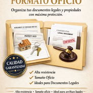 FILES OFICIO DOCUMENTOS LEGALES - Img 55522868