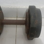 Mancuerna original con sus discos y paralela criolla de pared - Img 57841936