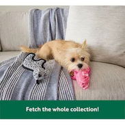 ☎️53544655 🛵 Entrega Disponible ⭐Juguete de Peluche para Perros con Forma de Cerdito ⭐ - Img 56479058