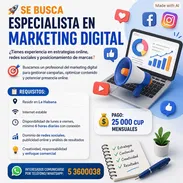 Se busca Especialista en Marketing Digital - Img 56927472
