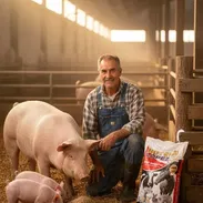 Se Busca Emprendedor encargado del Área Porcino - Img 56514003