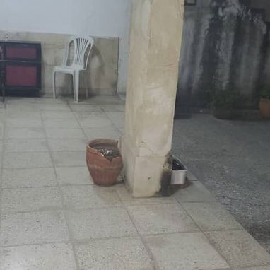 Casa de 150m² en Habana Vieja. - 4/9